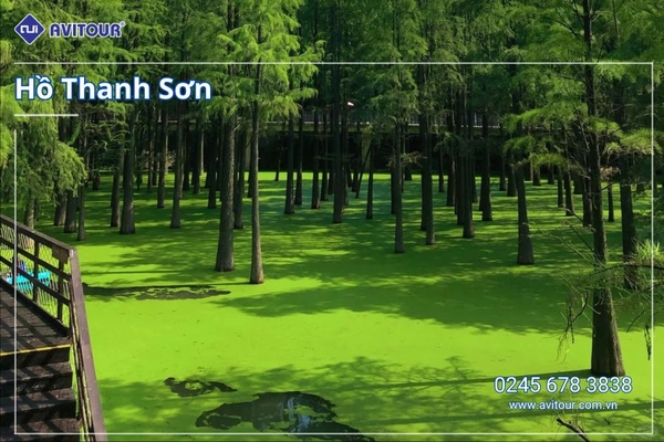 Du lịch Trung Quốc: Tour Đồn Khê - Hoàng Sơn - Tề Vân tiểu trấn ô trấn Tây Sách - Thượng Hải - Hàng Châu từ Hà Nội 2025