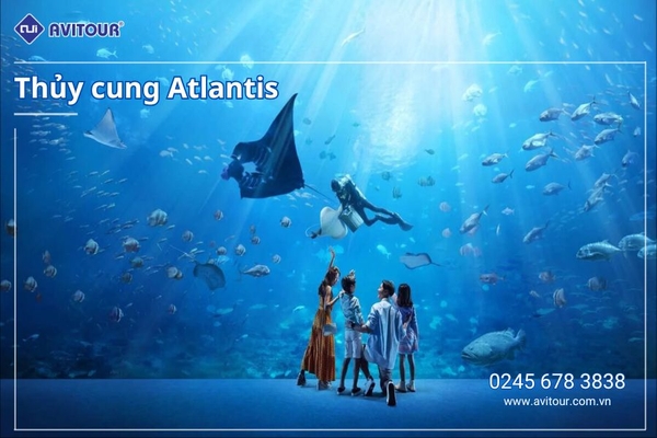 Du lịch Trung Quốc: Tour Tam Á - Trung tâm phật giáo Nam Sơn - Hải Hoa đảo - Đại tiểu động thiên - Đại Đông Hải - Trung tâm y học cổ truyền - Thủy cung Atlantis từ Hà Nội 2025