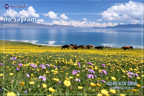 Du lịch Trung Quốc: Tour Tân Cương từ Hà Nội 2025