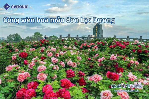 Du lịch Trung Quốc: Tour Tây An - Lạc Dương - Khai Phong từ Hà Nội 2026