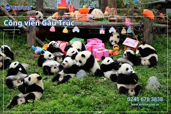 Du lịch Trung Quốc: Tour Thành Đô - Cửu Trại Câu - Lạc Sơn Đại Phật từ Hà Nội 2025