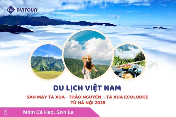 Du lịch Việt Nam: Săn Mây Tà Xùa - Thảo Nguyên  - Tà Xùa Ecolodge