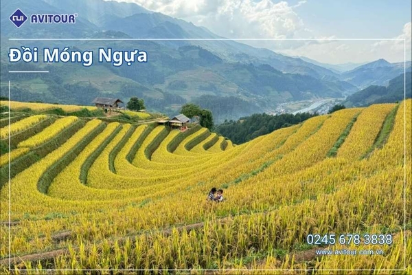Du lịch Việt Nam: Tour Mù Cang Chải - Ngọc Chiến khởi hành từ Hà Nội 2025