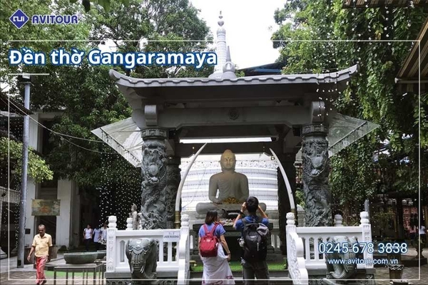 Du lịch Sri Lanka 2026: Khám Phá Xứ Tích Lan