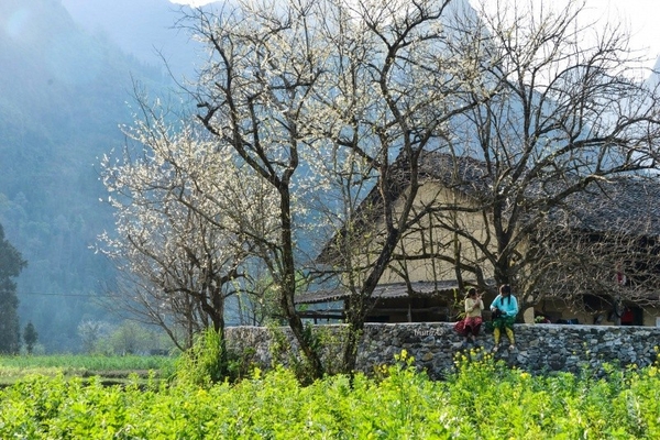 Tour Du Lịch Hà Giang | ĐỒNG VĂN - SÔNG NHO QUẾ - LŨNG CÚ - MÈO VẠC [3 Ngày 2 Đêm] Từ Hà Nội