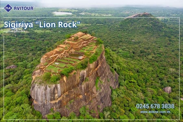 Du lịch Sri Lanka - Xứ Tích Lan 2026: Tham Dự Lễ Hội Rước Xá Lợi Răng Phật