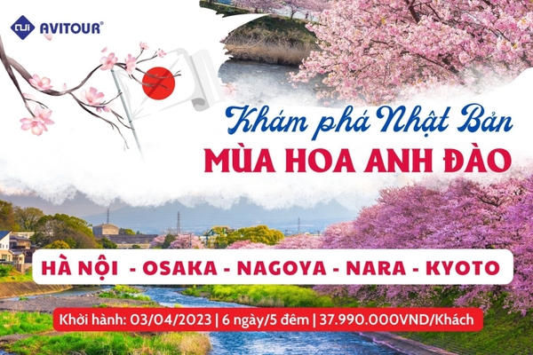 Khám phá Nhật Bản mùa hoa anh đào 2024| Hà Nội  - Osaka - Nagoya - Nara - Kyoto