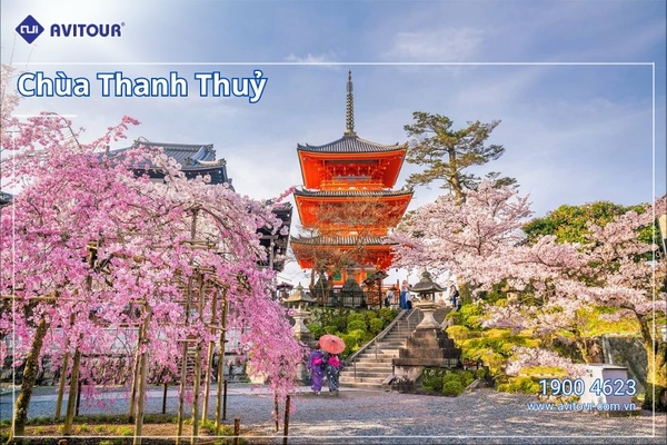 Khám phá Nhật Bản mùa hoa anh đào 2024| Hà Nội  - Osaka - Nagoya - Nara - Kyoto