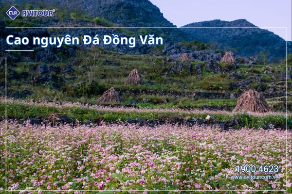 KHÁM PHÁ VÒNG CUNG ĐÔNG BẮC VIỆT NAM: HÀ NỘI – HÀ GIANG – CAO BẰNG – BẮC KẠN – HÀ NỘI