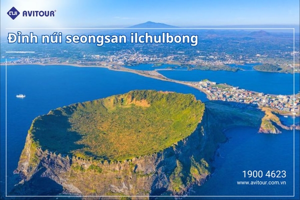 Ngắm hoa anh đào Hàn Quốc 2024| Hà Nội - Seoul - Jeju - Nami - Everland