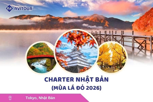 Tour Charter Nhật Bản mùa lá đỏ 2026: Niigata – Aizu – Nikko – Tokyo 5N4Đ
