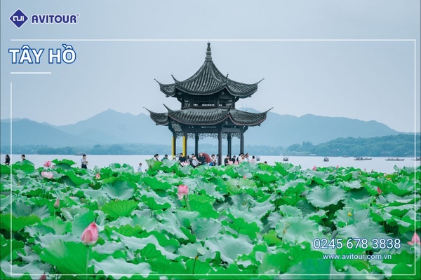 TOUR DU LỊCH LỄ 30/4: NAM KINH - HÀNG CHÂU - Ô TRẤN - THƯỢNG HẢI - NAM KINH