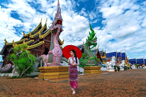 Tour Chiang Mai - Chiang Rai Thái Lan (5 Ngày 4 Đêm) - Ngắm Hoa Anh Đào 2023