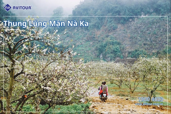 VI VU TÂY BẮC: HÀ NỘI -  MỘC CHÂU – BẢN LÁC MAI CHÂU -  HÀ NỘI