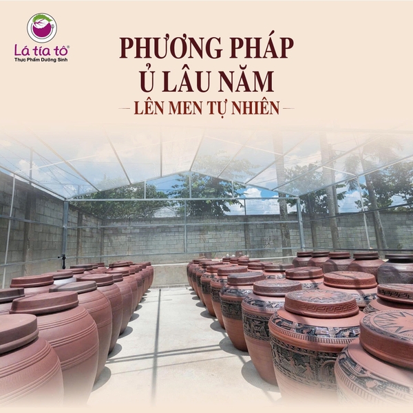 Nước mắm chay thực dưỡng