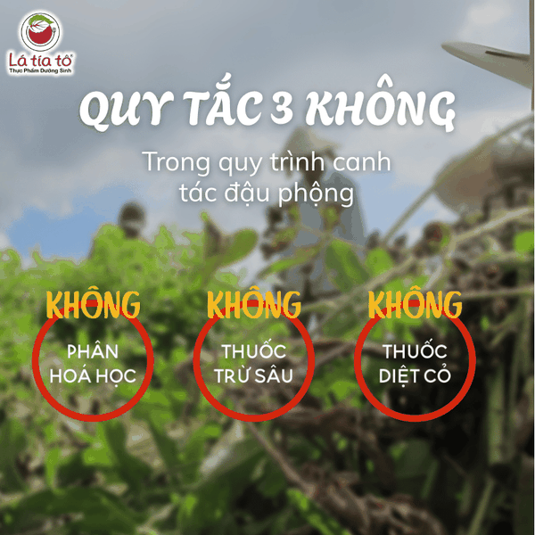 Bơ đậu phộng hạt nguyên chất