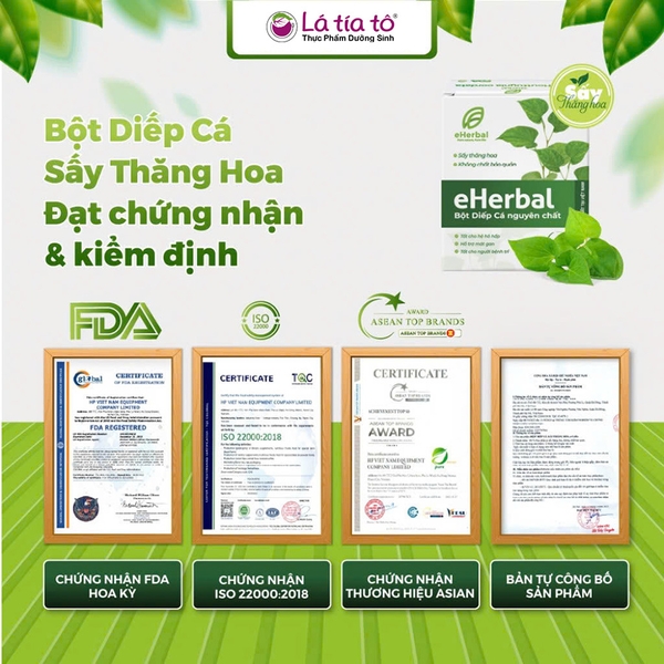 Bột Diếp Cá ( Sấy Thăng Hoa )