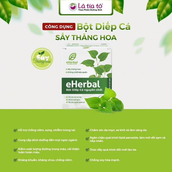 Bột Diếp Cá ( Sấy Thăng Hoa )