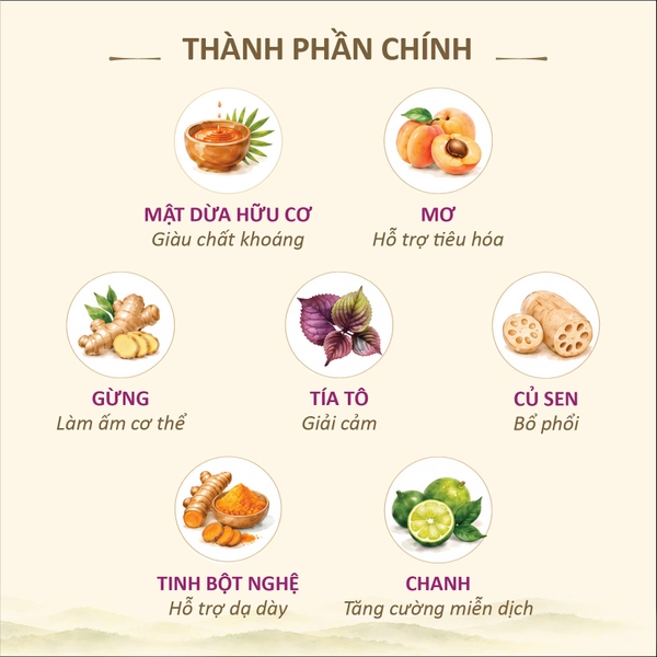 Mật mơ gừng Tía Tô