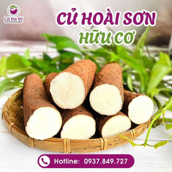 Củ Hoài Sơn Tươi Hữu Cơ