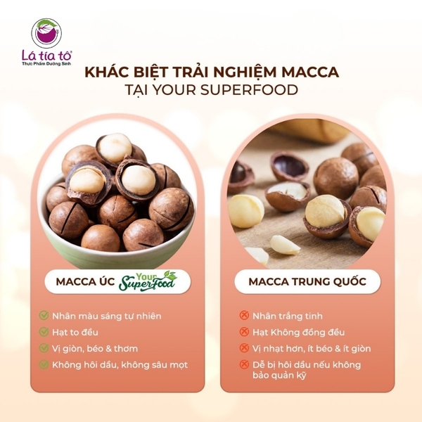 Hạt Macca Úc  Nứt Vỏ