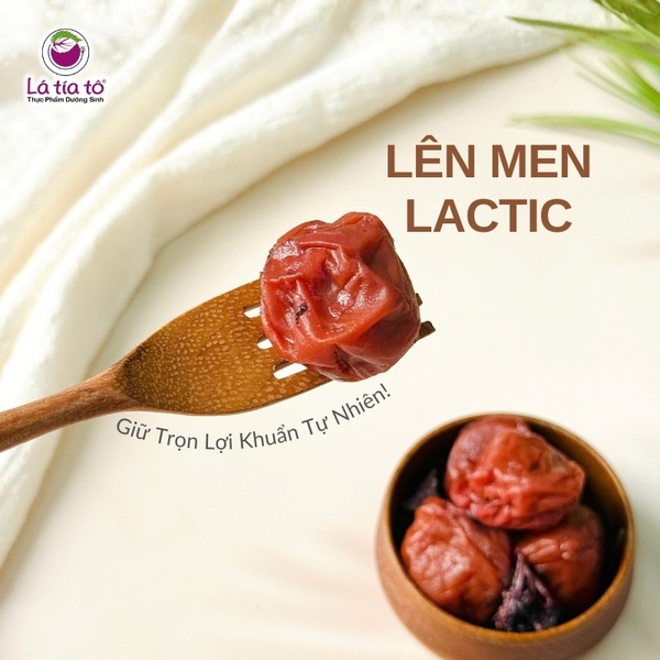 Mơ Ngâm Muối Hữu Cơ Nhật Bản