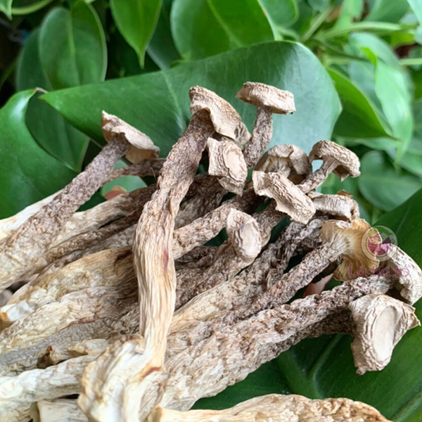 Nấm Lộc Nhung Khô ( Nhung Hưu )