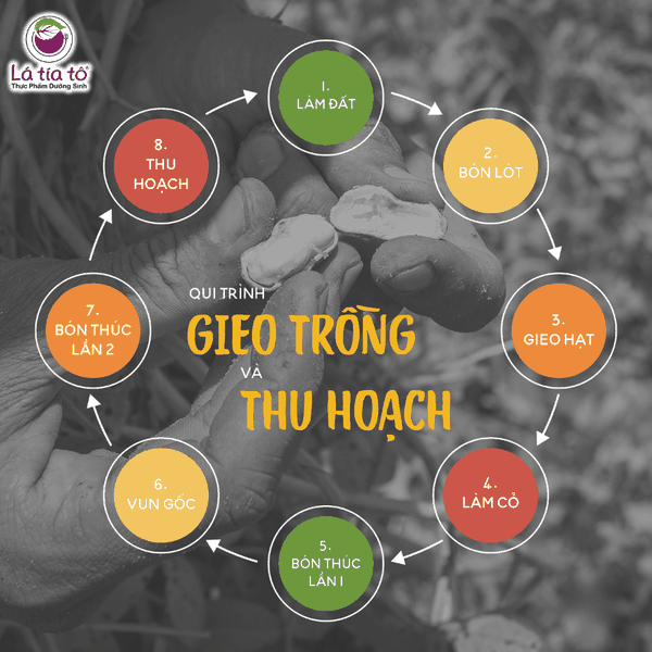Bơ hạt điều mịn 210gr