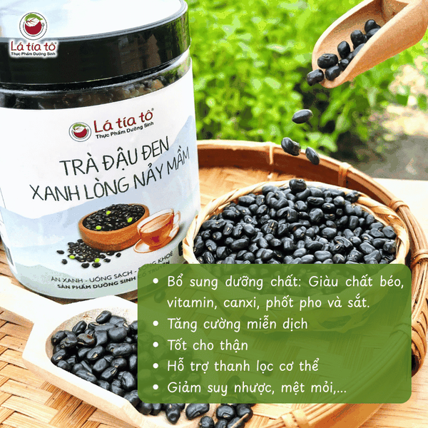 Trà đậu đen xanh lòng nảy mầm