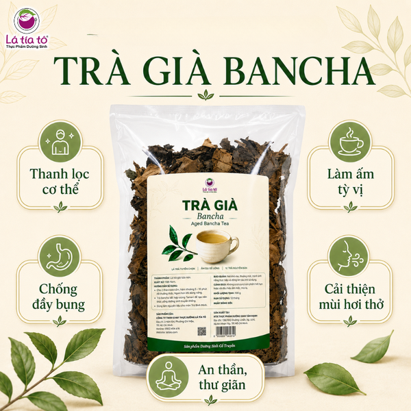 Trà bancha lâu năm