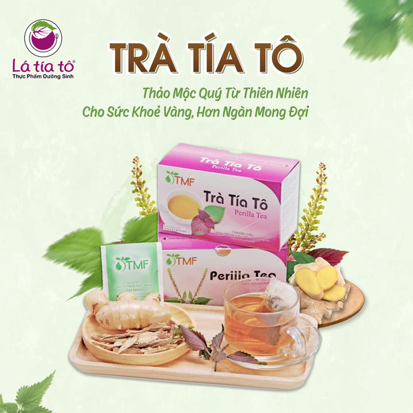 Trà tía tô túi lọc