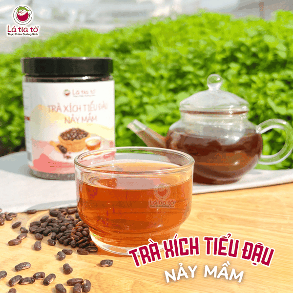 Trà xích tiểu đậu nảy mầm