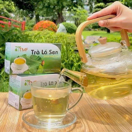 Trà lá sen an thần ngủ ngon