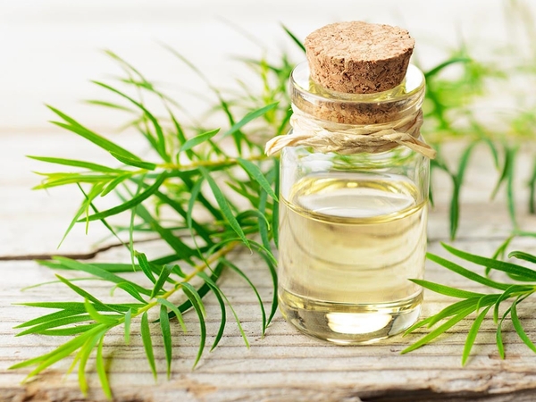 SỬ DỤNG TINH DẦU TRONG CUỘC SỐNG HÀNG NGÀY