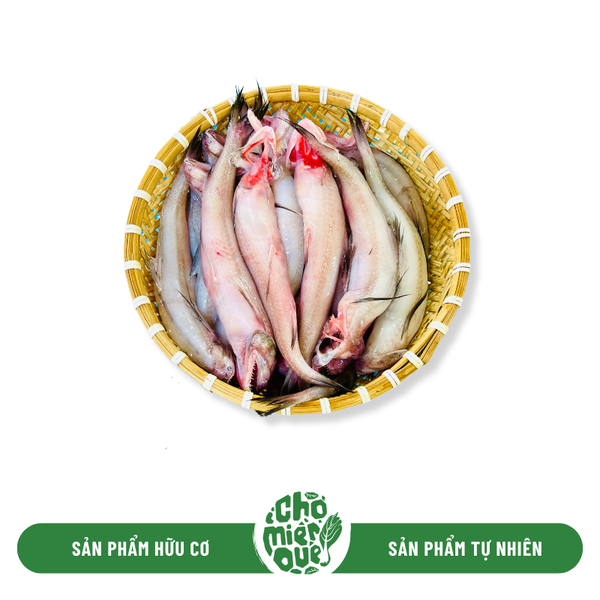 Cá khoai - Kg