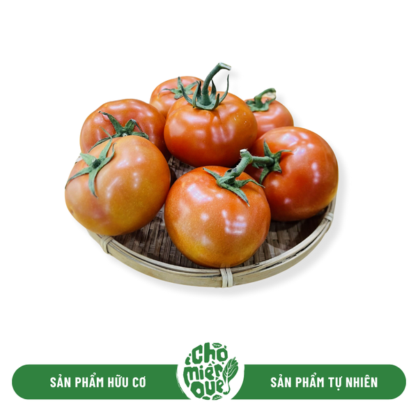 Cà chua beef hữu cơ - Túi 250gr