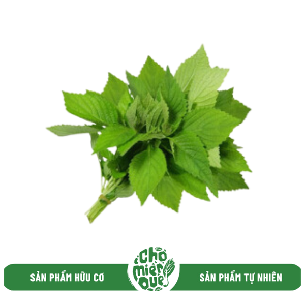 Rau kinh giới hữu cơ - Kg