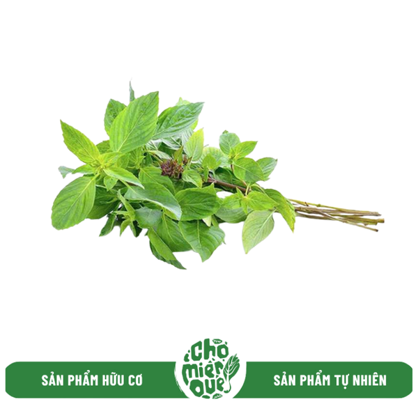 Rau mầm sx hữu cơ - Kg