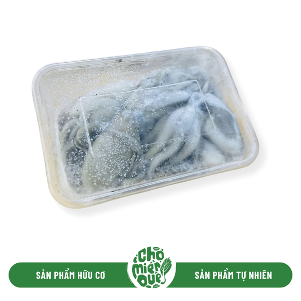 Bạch tuộc - Kg