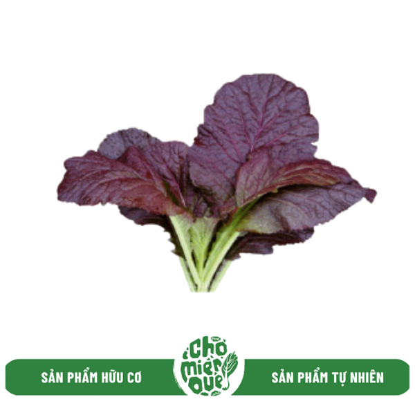 Cải mù tạt hữu cơ - Kg