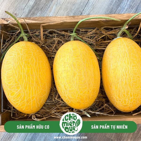 Dưa lưới Huỳnh Long SX hữu cơ - Kg