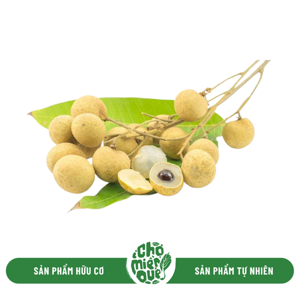 Nhãn Xuồng Cơm Vàng