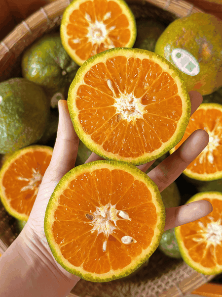 Cam Sành Hữu Cơ Hai Đông Loại 1