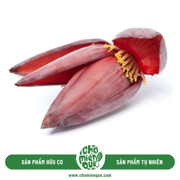 Bắp Chuối hữu cơ - Kg