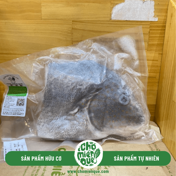 Cá kẽm Côn Đảo - Kg