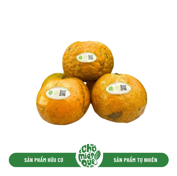 Cam Sành Hữu Cơ Hai Đông L2