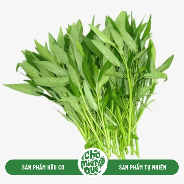 Rau muống hạt Sunny VT - Kg