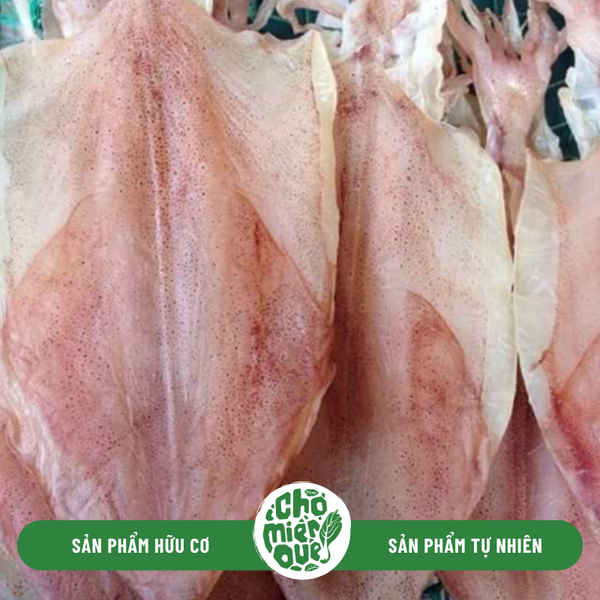 Mực 1 nắng Phú Yên (Size lớn) - Kg