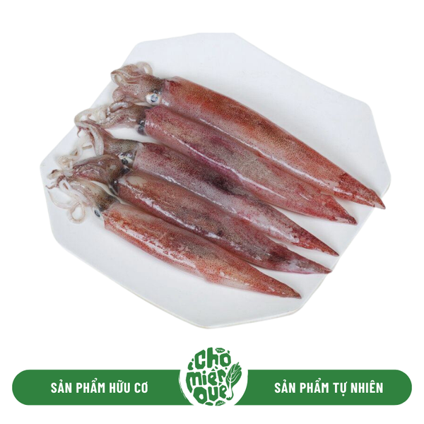 Mực trứng - Kg