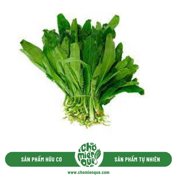 Ngò Gai hữu cơ - Kg